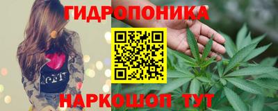 a pvp Лесосибирск